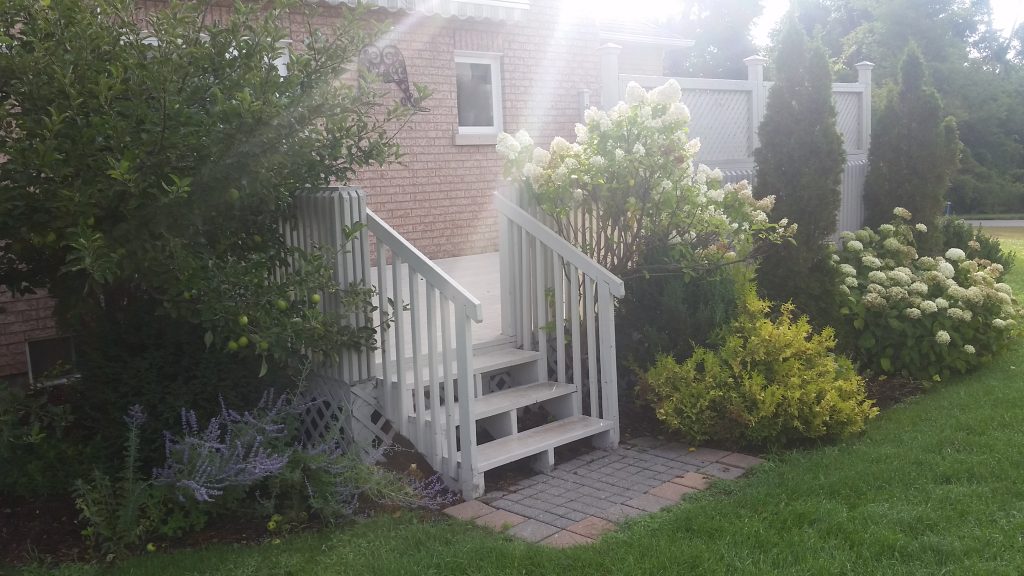 Ballinafad Backyard Landscaping Dreamscape Landscaping